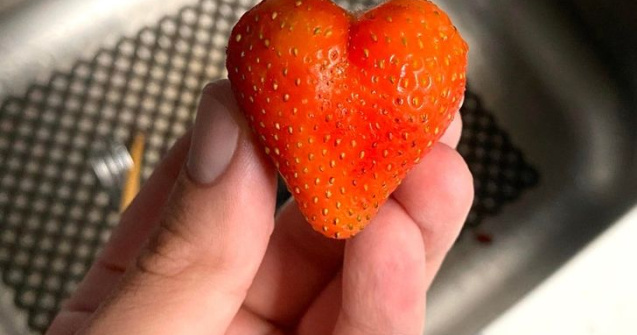  Top  Cu siguranță te vor surprinde! 10+ lucruri incredibile decoperite întâmplător