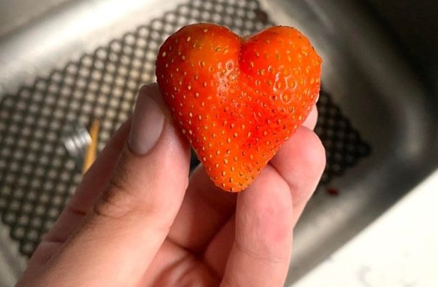 FOTO Cu siguranță te vor surprinde! 10+ lucruri incredibile decoperite întâmplător