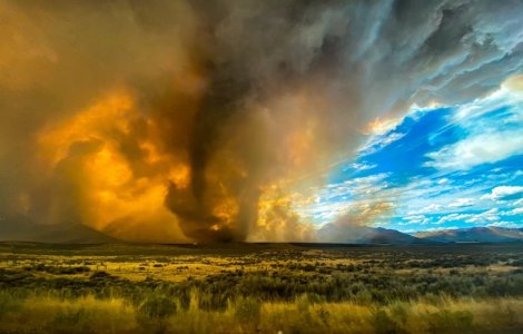 VIDEO Incendiile de vegetație din California au distrus 8.000 de hectare