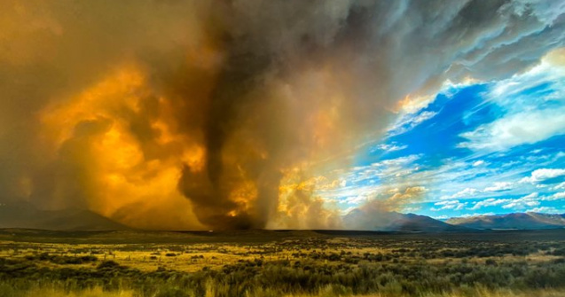 VIDEO Incendiile de vegetație din California au distrus 8.000 de hectare