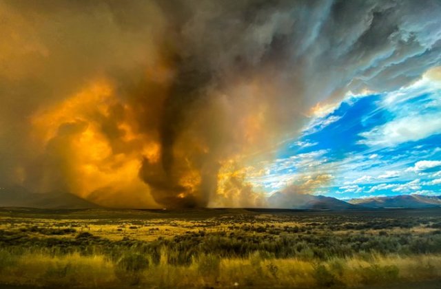 VIDEO Incendiile de vegetație din California au scăpat de sub control și au distrus 8.000 de hectare