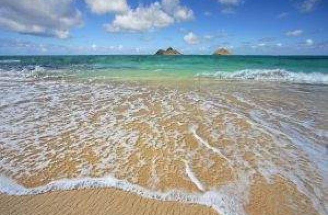 Trei seisme cu magnitudinea de peste 7 s-au produs in Pacific