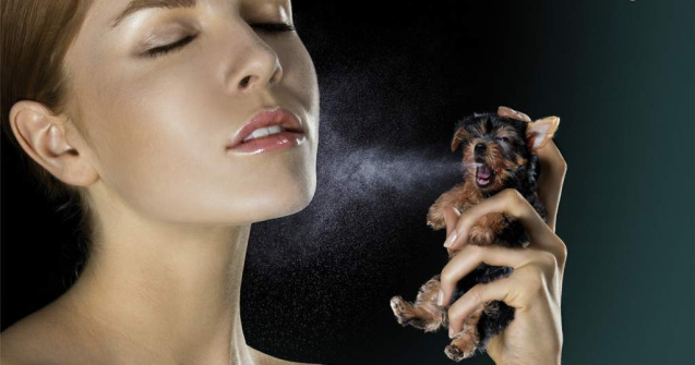 Cosmeticele testate pe animale nu se mai pot vinde in UE