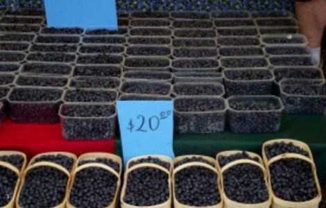 Noi reguli pentru despagubirea rapida a consumatorilor aprobate de PE