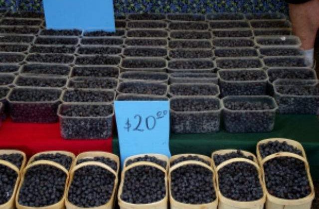 Noi reguli pentru despagubirea rapida a consumatorilor aprobate de PE