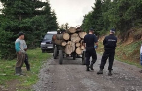 Un hoț de lemne înarmat cu o pușcă și o sabie a fost împușcat de polițiști