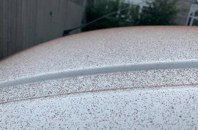 Orașul &icirc;n care a &bdquo;nins&rdquo; cu cacao din cauza unei defecțiuni la o fabrică de ciocolată