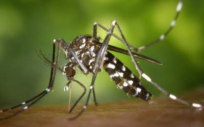 Țara în care vor fi eliberați...