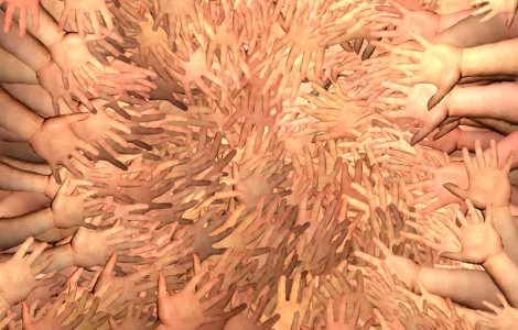 Candidatii la Presedintie cauta pe internet voluntari pentru a se promova in cursa pentru Cotroceni