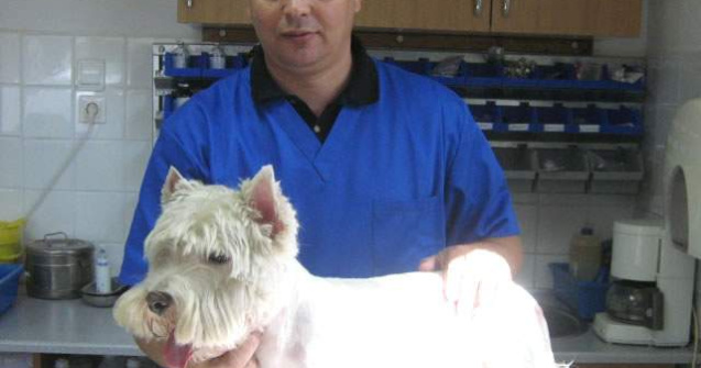 Noul sef al ANSVSA va fi Viorel Andronie