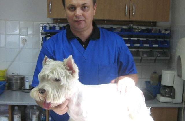 Noul sef al ANSVSA va fi Viorel Andronie, presedintele Colegiului Medicilor Veterinari