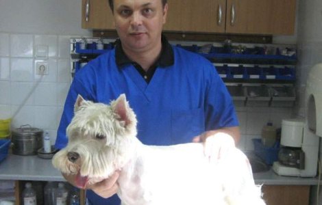 Noul sef al ANSVSA va fi Viorel Andronie