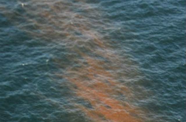 O pata de petrol se extinde pe litoralul ucrainean spre Romania