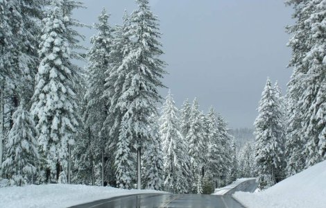 Ninsoarea ingreuneaza traficul in nordul si vestul tarii