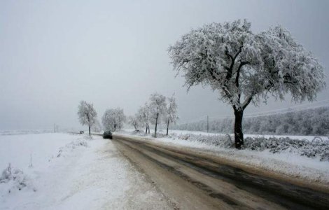 Stare de urgenta in Ungaria din cauza intemperiilor
