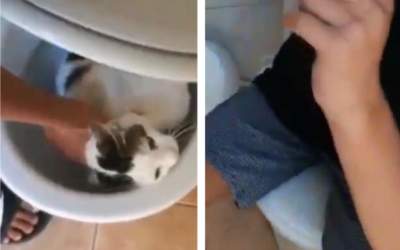 VIDEO Adolescent cercetat...