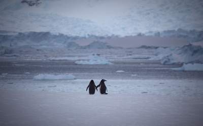VIDEO O echipă de filmare a...