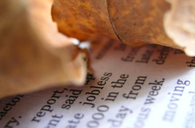 Criza a determinat firmele private din Romania sa reduca cu 25% numarul angajatilor