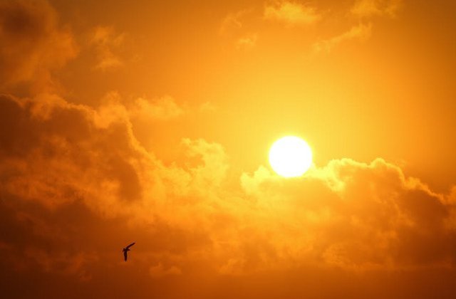 Director ANM: &bdquo;2020 ar putea fi unul dintre cei mai călduroși ani din istorie&rdquo;