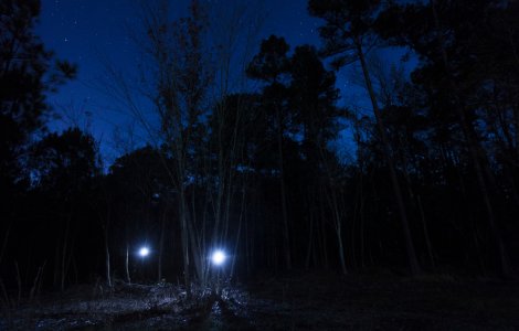 Un copil din Moldova a fost bătut cu bestialitate și lăsat să moară în pădure