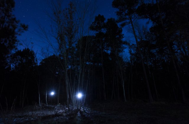 Caz șocant în Moldova! Un copil a fost bătut cu bestialitate și lăsat să moară în pădure, legat de un copac