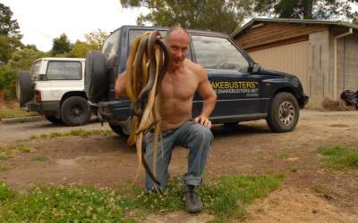 Efectul neobișnuit al...