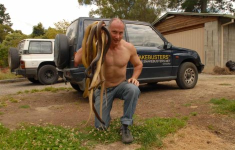 Efectul neobișnuit al coronavirusului: s-au înmulțit îngrijorător șerpii în Australia