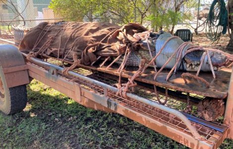 Crocodil de peste 4 metri lungime, capturat într-o zonă turistică din Australia