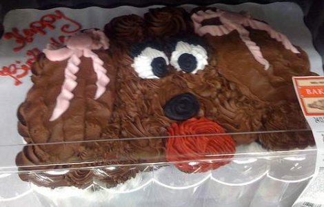 Cele mai amuzante torturi din lume