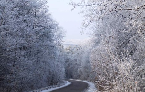 Vremea nefavorabila a afectat 20 de judete si Capitala