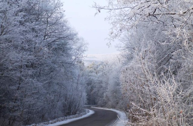 Vremea nefavorabila a afectat 20 de judete si Capitala