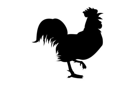 2009 este "anul puiului" in Romania: Vanzarile de carne de pui au crescut cu pana la 20%