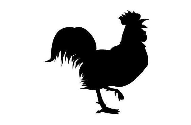 2009 este "anul puiului" in Romania: Vanzarile de carne de pui au crescut cu pana la 20%