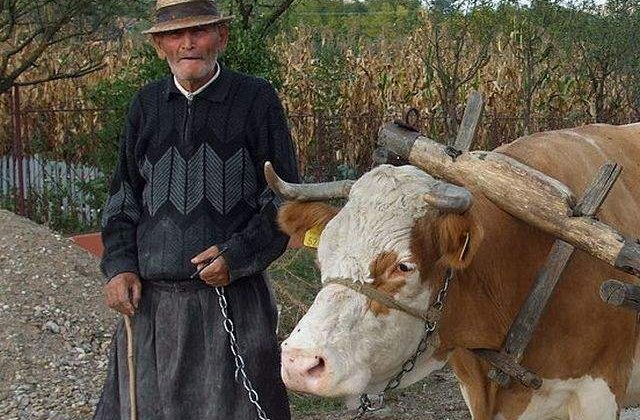 Vesti proaste pentru economie: Romania imbatraneste mult mai repede decat restul Europei