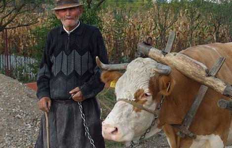 Romania imbatraneste mult mai repede decat restul Europei