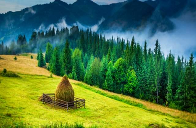 Un român s-a îmbogățit vânzând…aer. Cât cere pentru o sticlă cu aer din Carpați