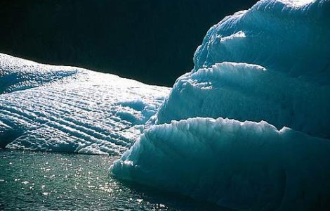 Calota arctica s-ar putea topi complet pe timp de vara in 20-30 de ani