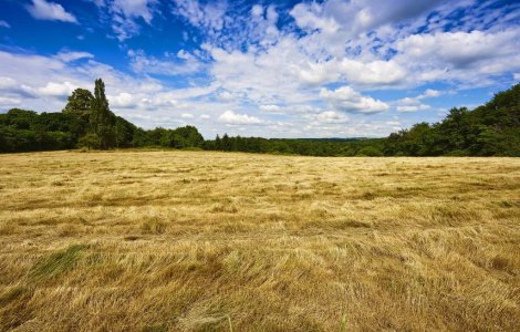 Austria ravneste si ea portofoliul pentru agricultura