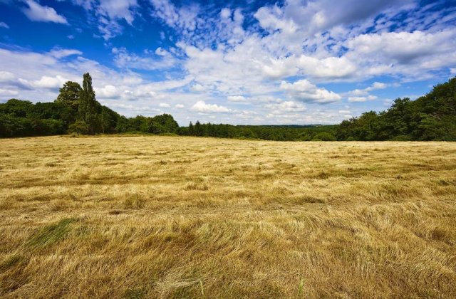 Austria ravneste si ea portofoliul pentru agricultura