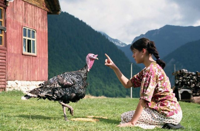 Hai la film! Amintiri din Epoca de Aur II intra in cinematografe