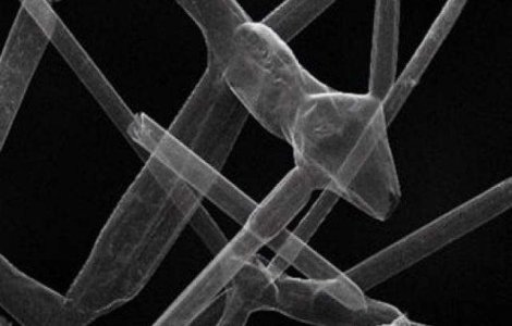 Chinezii au creat cel mai usor material solid din lume