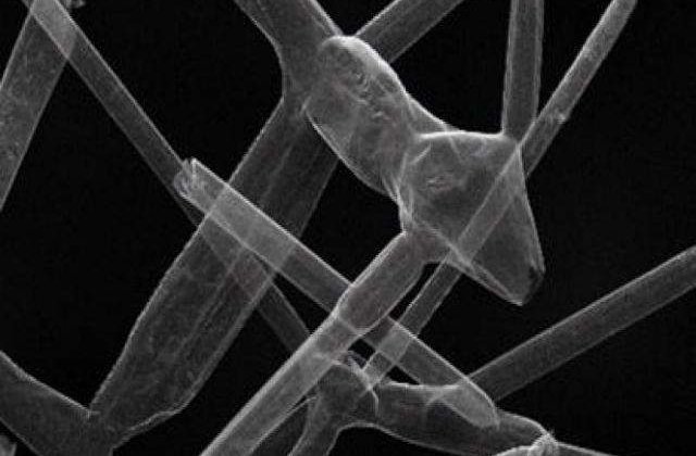 Chinezii au creat cel mai usor material solid din lume