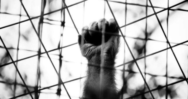 UE, cu ochii pe gradinile zoologice din Romania