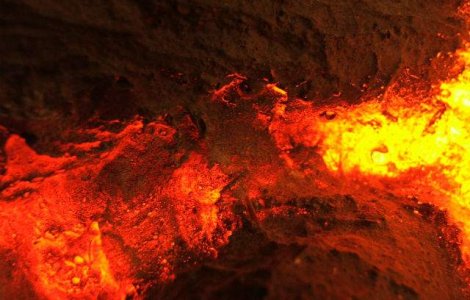 Studiu: Extinctia speciilor a fost cauzata de eruptiile vulcanice