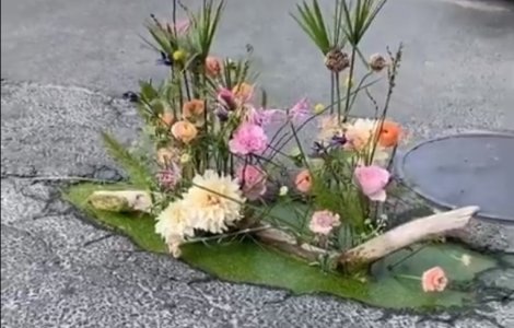 Gropile din București, „înfrumusețate" cu flori pentru a atrage atenția