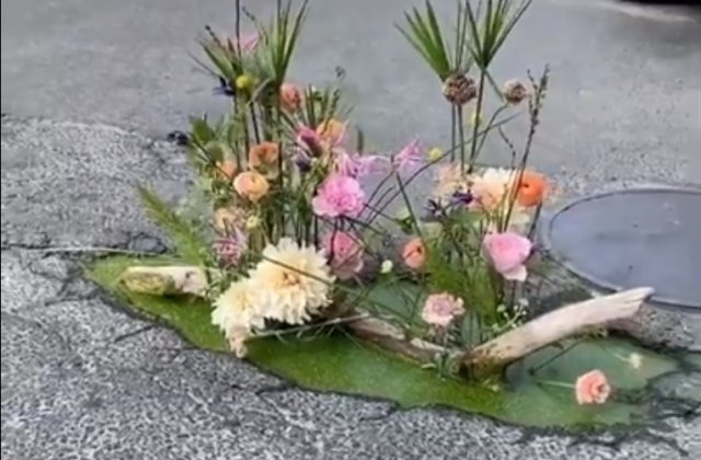 Gropile din București, &bdquo;&icirc;nfrumusețate" cu flori pentru a atrage atenția asupra neregulilor