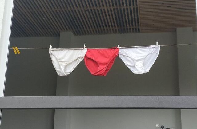 FOTO Lukashenko a interzis steagurile alb-roșii, dar asta nu a oprit pe nimeni. Ce soluții ingenioase au găsit protestatarii