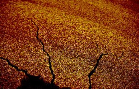 "Zona blestemata": Alte doua seisme s-au produs in sudul Pacificului