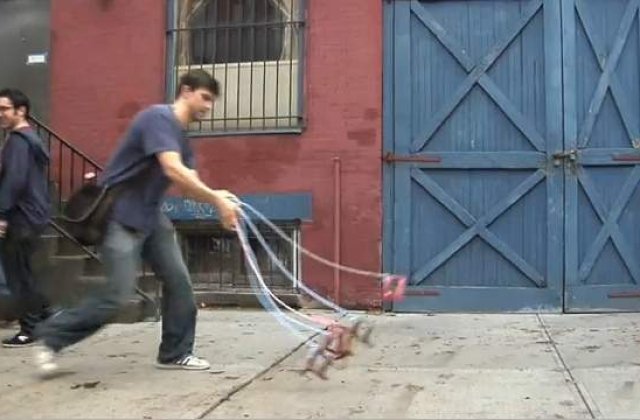 [VIDEO] 'Cainii invizibili' in actiune