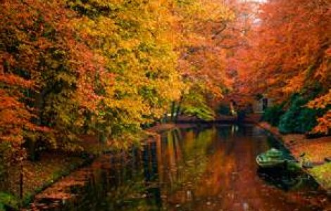 Opt fonduri de vanatoare, scoase la licitatie